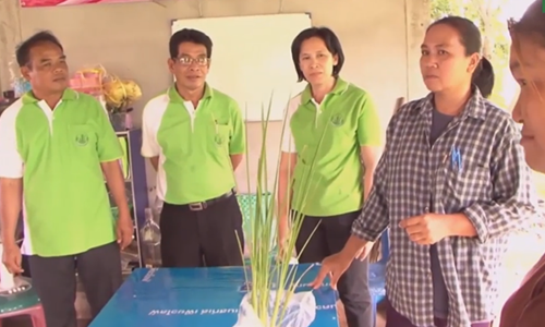 การพัฒนานักวิชาการส่งเสริมการเกษตร