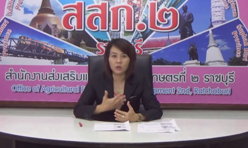 การเขียนบทความคุณทำได้