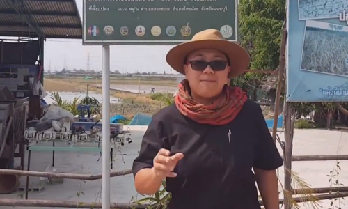 เกษตรอินทรีย์ดีอย่างไร