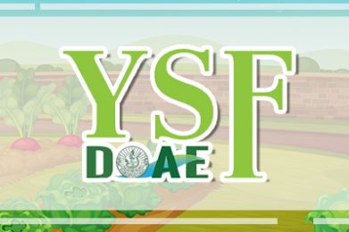 กระบวนการพัฒนา Young Smart Farmer สู่เกษตรกรมืออาชีพ (e-book)
