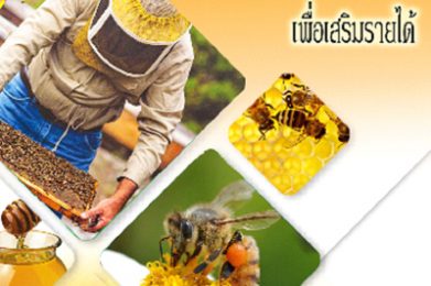 การส่งเสริมการเลี้ยงผึ้งโพรงเพื่อเสริมรายได้ (e-book)