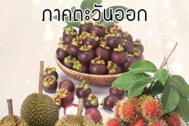การบริหารจัดการผลไม้ภาคตะวันออก