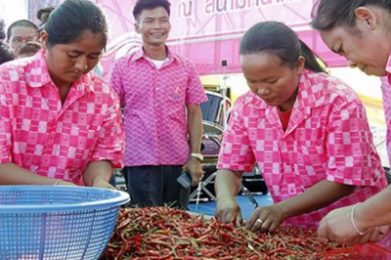 การเพิ่มประสิทธิภาพการผลิตสินค้าเกษตร