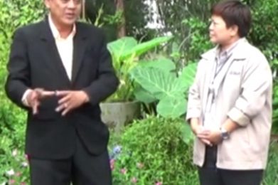 หัวหน้างานกับการสอนงานในงานส่งเสริมการเกษตร