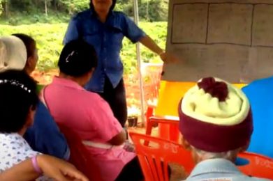ศูนย์เรียนรู้เพิ่มประสิทธิภาพการผลิตสินค้าเกษตร (ศพก.) บ้านหนองมะกรูด อ.ปากช่อง จ.นครราชสีมา