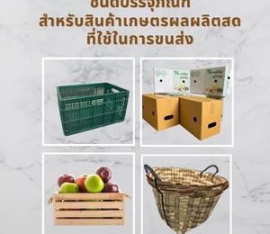 ชนิดบรรจุภัณฑ์สำหรับสินค้าเกษตรผลผลิตสดที่ใช้ในการขนส่ง