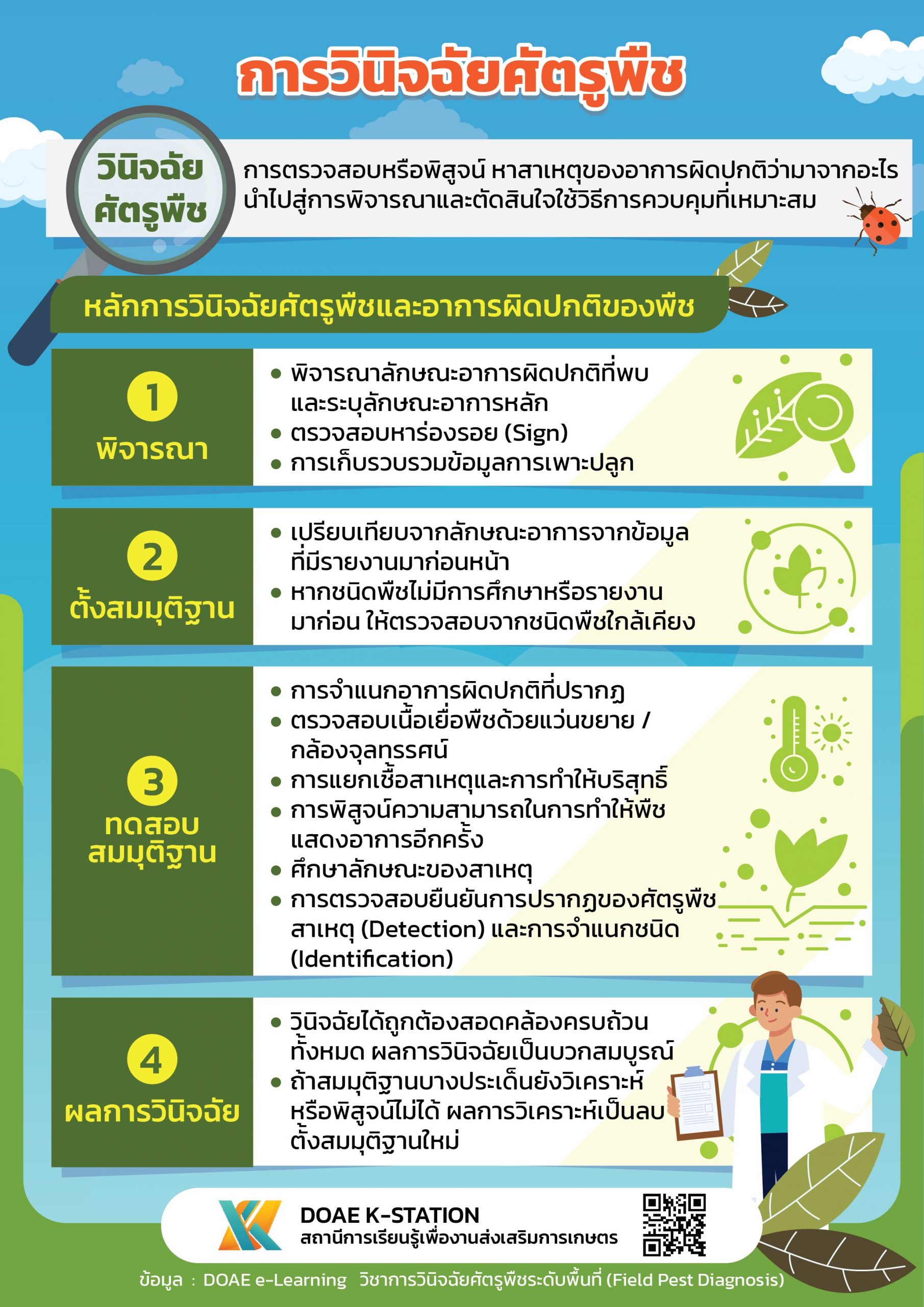 ทดสอบ