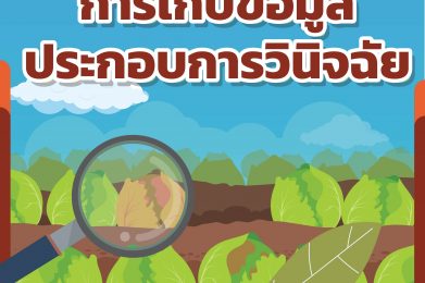 การเก็บข้อมูลประกอบการวินิจฉัย
