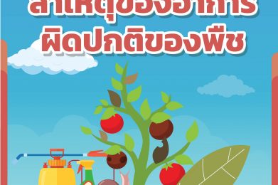 สาเหตุของอาการผิดปกติของพืช