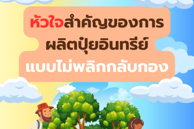 หัวใจสำคัญของการผลิตปุ๋ยอินทรีย์แบบไม่พลิกกลับกอง