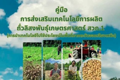 คู่มือการส่งเสริมเทคโนโลยีการผลิตถั่วลิสงพันธ์ุเกษตรศาสตร์ สวก.1