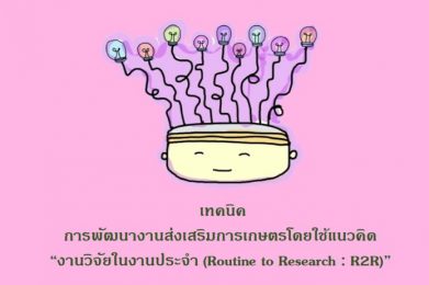 เทคนิคการพัฒนางานส่งเสริมการเกษตรโดยใช้แนวคิด R2R
